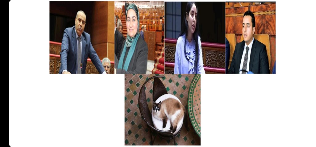 A whole family (and their cat) in the Moroccan Parliament