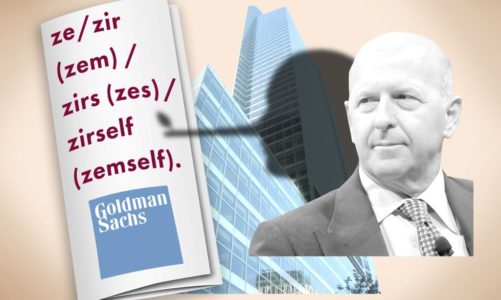 Goldman Sachs hands out ‘pronoun’ pamphlets amid harass suits