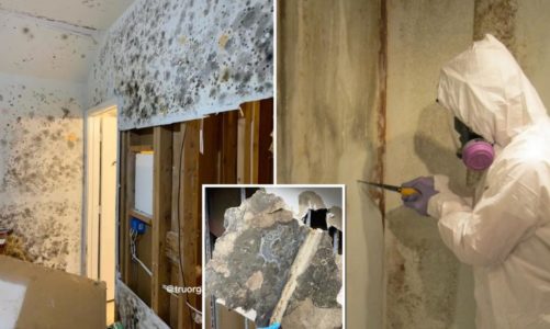 Mold-infested abandoned home found during welfare check