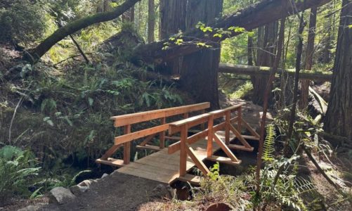 Mount Tam’s Steep Ravine Trail reopens after refurbishments