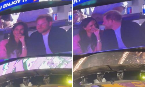 Prince Harry and Meghan Markle spotted at Lakers home playoff game