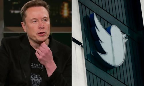 Elon Musk says Twitter to remove inactive accounts