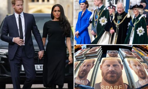 Harry, Meghan ‘not wanted’ in UK, as expert warns