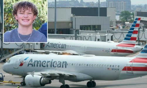 American Airlines sues Skiplagged travel site after company bars teen for using for cheap ticket