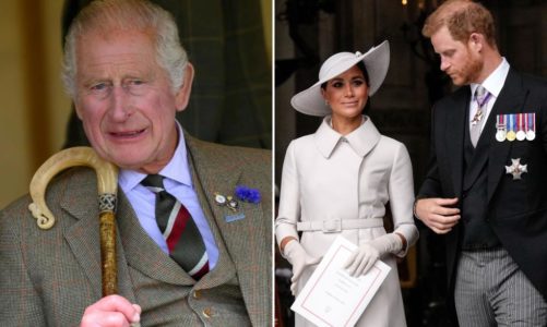 Buckingham Palace delivered ‘brutal reality check’ to Harry, Meghan: expert