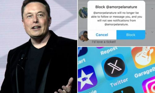 Elon Musk says X users will no longer be able to block unwanted followers