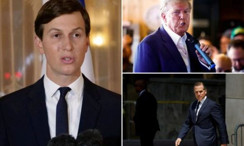 Land of the free-for-all as Hunter, Kushner, Trump drama envelops political world